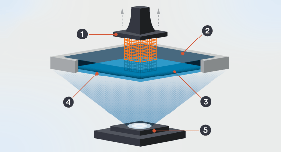 diagram of carbon dls 3d printing process